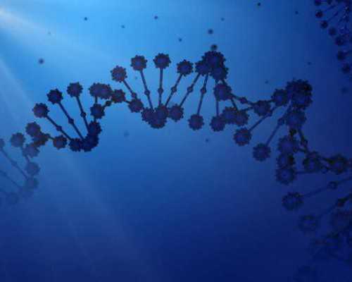 国内有哪些医院能供卵,怀双胎28周是一关真不假