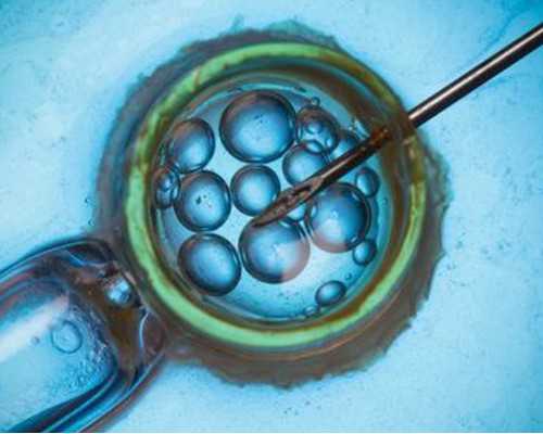 全国哪些医院可以供卵,在珠海做试管婴儿多少钱，这样的花费明细承担得起